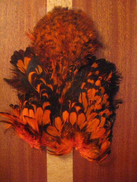 American hen soft hackle w/chickabou  blv/orange  Whiting